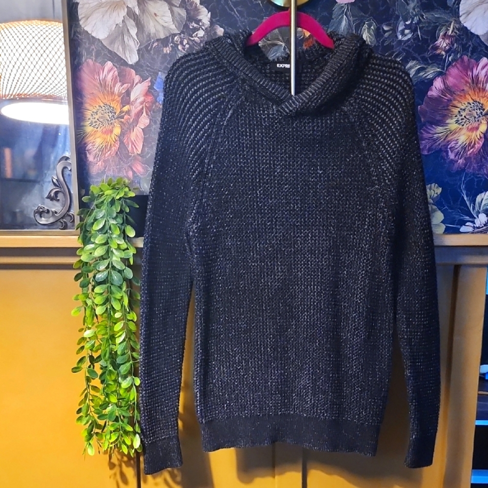 Men's Express Black Hooded Sweater